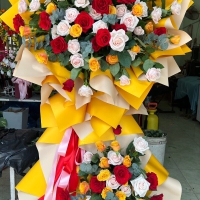 HOA KHAI TRƯƠNG