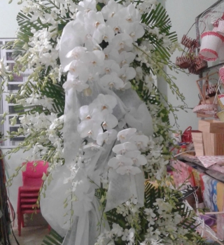Tràng hoa viếng cao 3m lan thái trắng và hồ điệp trắng cực sang cực rẻ ở Bình Dương 