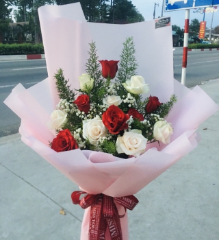 BÓ HỒNG ĐỎ - KEM SIÊU RẺ, SIÊU TIẾT KIỆM CHỈ CÓ Ở TÂN UYÊN, Bình Dương 