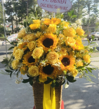 Hộp hoa siêu to khổng lồ giá cực rẻ chỉ có ở Bình Dương 