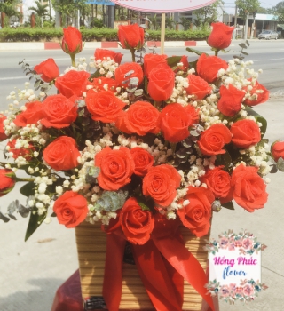 Hoa tươi màu đỏ cam rực rỡ, rẻ đẹp, chỉ từ 15k/bông cho ngày phụ nữ 