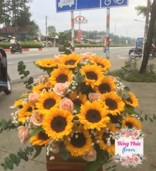 Hoa hướng dương phối hoa hồng và baby vừa sang vừa rẻ