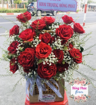 Hộp gỗ ohara đỏ rẻ đẹp sang trọng trong ngày phụ nữ dành cho mẹ,người yêu, vợ