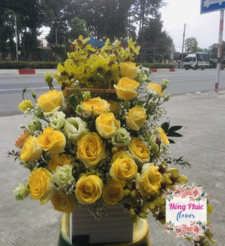 Giỏ hoa Hồng vàng kết hợp cùng lan vàng, cát tường và baby vô cùng trang trọng dành tặng sếp nam cực kỳ ý nghĩa