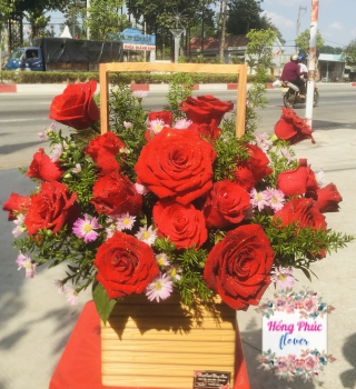 Hoa Hồng đỏ Ecuador mừng sinh nhật, khai trương, ngày phụ nữ ở Tân Uyên, Bình Dương 