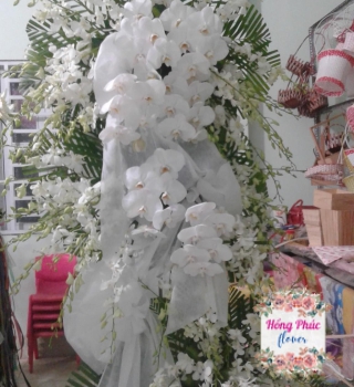 Tràng hoa viếng cao 3m lan thái trắng và hồ điệp trắng cực sang cực rẻ ở Bình Dương 