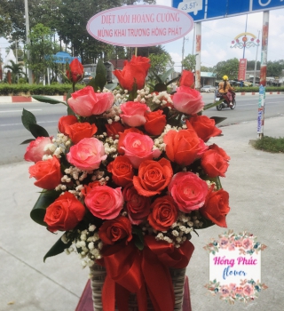 Hoa tươi mừng ngày phụ nữ Việt Nam 20/10 rẻ đẹp rực rỡ ở Bình Dương 