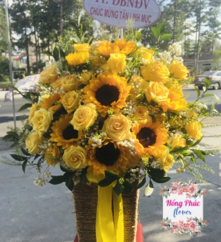 Hộp hoa siêu to khổng lồ giá cực rẻ chỉ có ở Bình Dương 