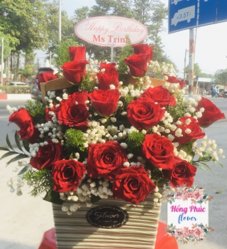 Giỏ hoa Hồng đỏ Ecuador tuyệt đẹp cực rẻ cho dịp sinh nhật, ngày phụ nữ 