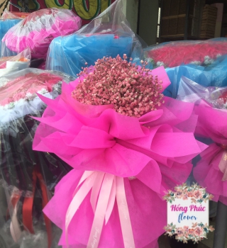 BÓ HỒNG BIBI SIÊU DỄ THƯƠNG GIÁ CỰC RẺ TÂN UYÊN