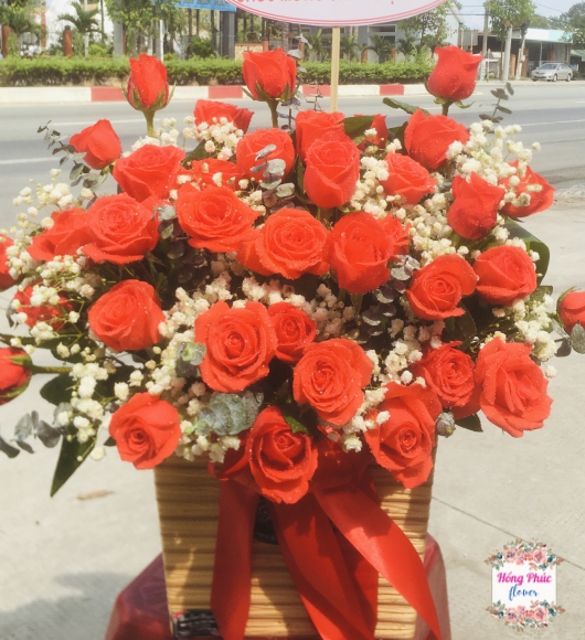 Hoa tươi màu đỏ cam rực rỡ, rẻ đẹp, chỉ từ 15k/bông cho ngày phụ nữ