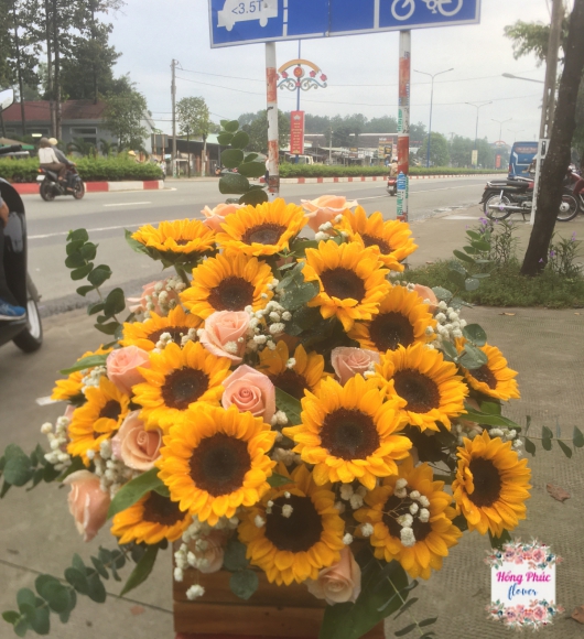 Hoa hướng dương phối hoa hồng và baby vừa sang vừa rẻ