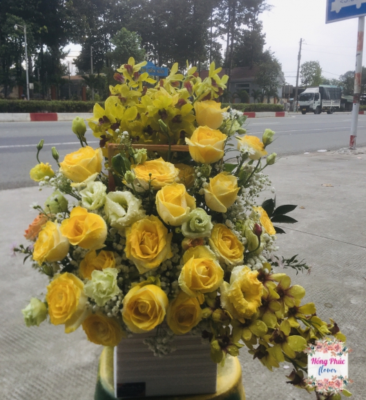 Giỏ hoa Hồng vàng kết hợp cùng lan vàng, cát tường và baby vô cùng trang trọng dành tặng sếp nam cực kỳ ý nghĩa