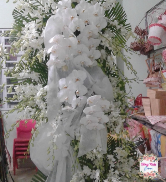 Tràng hoa viếng cao 3m lan thái trắng và hồ điệp trắng cực sang cực rẻ ở Bình Dương 