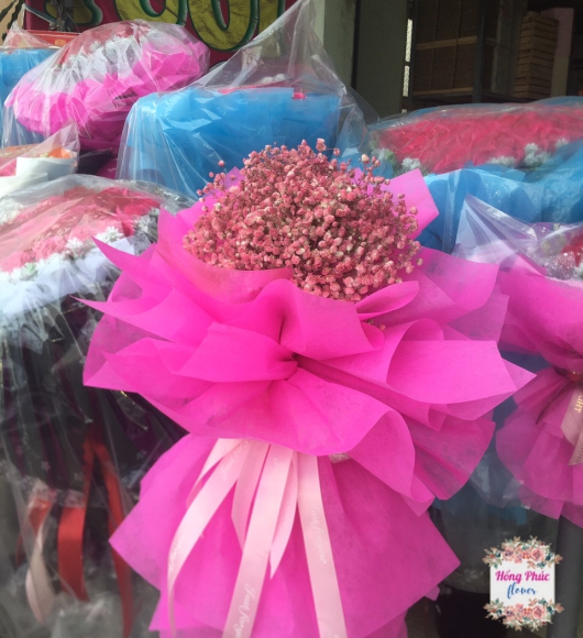 BÓ HỒNG BIBI SIÊU DỄ THƯƠNG GIÁ CỰC RẺ TÂN UYÊN