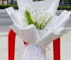 hoa tulip trắng bó 