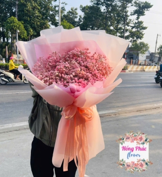 Hoa bibi bó hồng