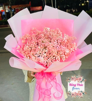 Hoa bibi màu hồng