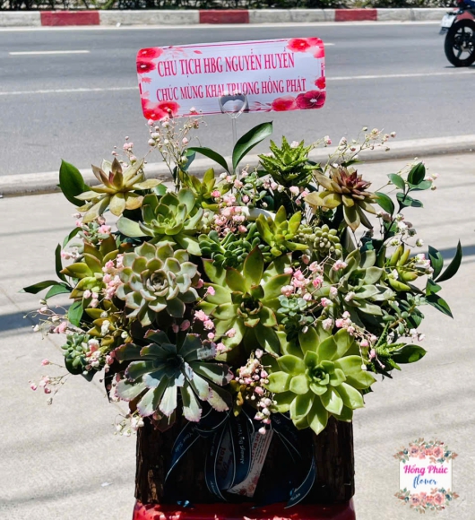 Giỏ hoa sen đá mừng khai trương 