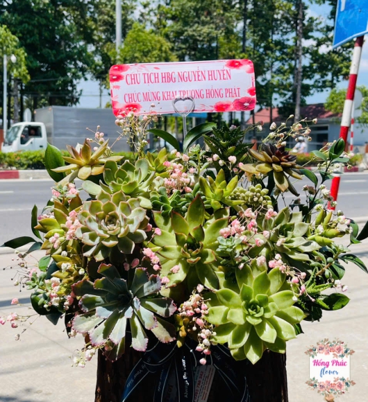 Giỏ hoa sen đá mừng khai trương 