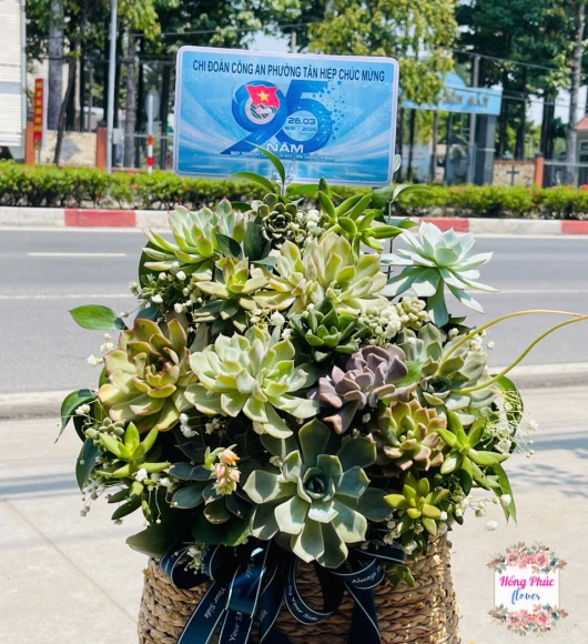 Giỏ hoa sen đá khai trương