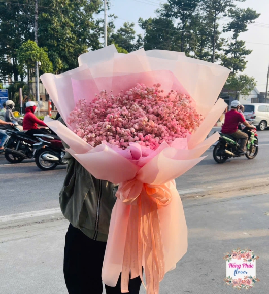 Hoa bibi bó hồng