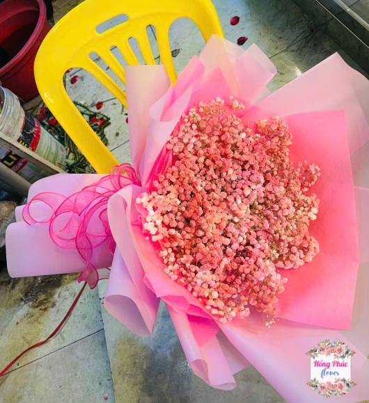 Hoa bibi màu hồng